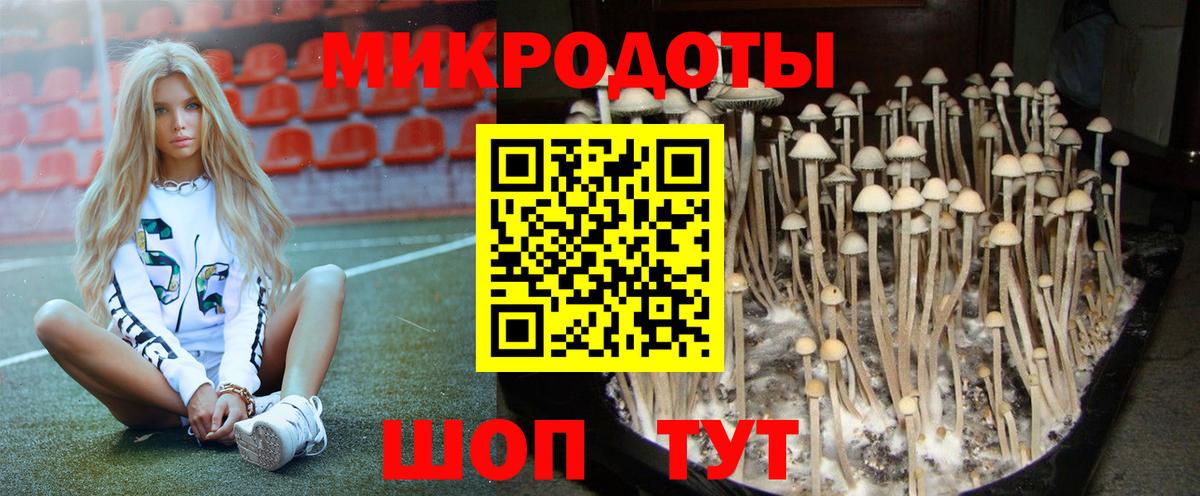 как найти закладки  Вход с VPN  Псилоцибиновые грибы прущие грибы  Назрань  Псилоцибиновые грибы Magic Shrooms 